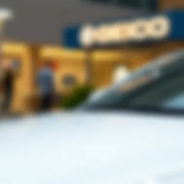 Magnificent Comparative Analysis of Progressive and Geico Insurance Magnificent Comparative Analysis of Progressive and Geico Insurance