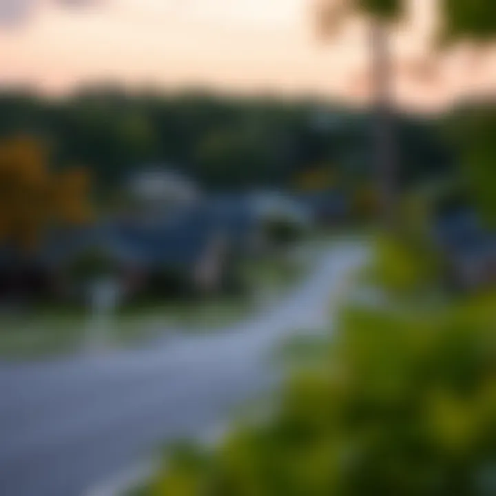 Scenic view of a suburban neighborhood with lush greenery and well-kept homes