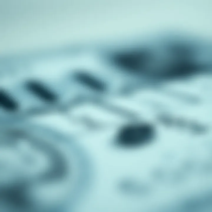 Visual representation of a strong credit score