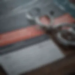 A detailed infographic illustrating various medical insurance options for the unemployed.