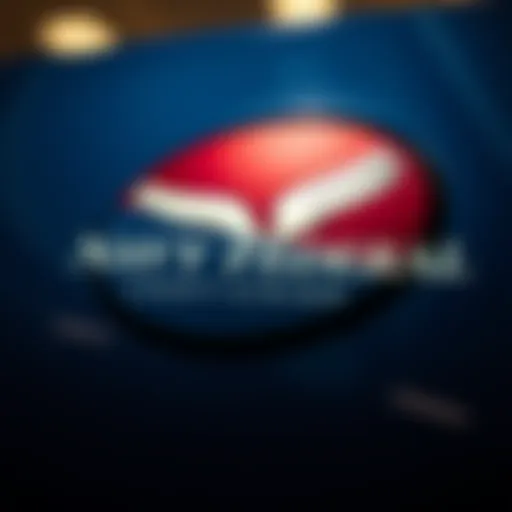 Navy Federal Credit Union logo