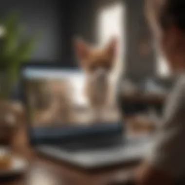 A pet owner reviewing insurance plans on a laptop