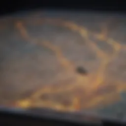 Map showing state boundaries for car rental returns