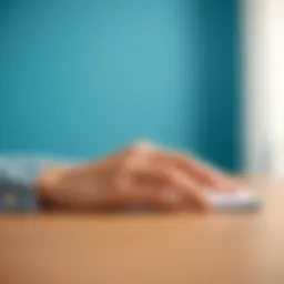 Overview of Anthem Mediblue Access Basic PPO plan features