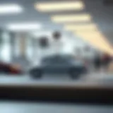 An infographic depicting the structure of federal car insurance companies