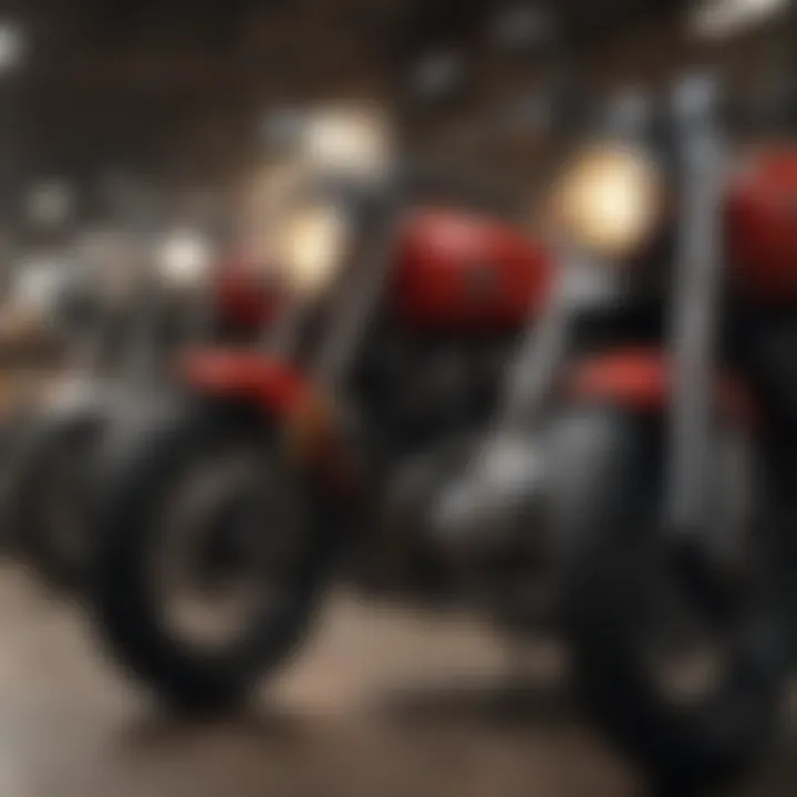 A diverse collection of motorcycles parked together, showcasing different styles and models.