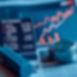 Detailed view of loan calculations with graphs