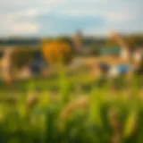 Exploring USDA Loan Eligible Properties in Ohio Rural landscape in Ohio showcasing eligible properties for USDA loans